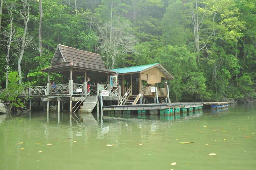 Langkawi: Kilim Mangrove Boat Tour with Lunch and Pickup - Who should book this Langkawi tour