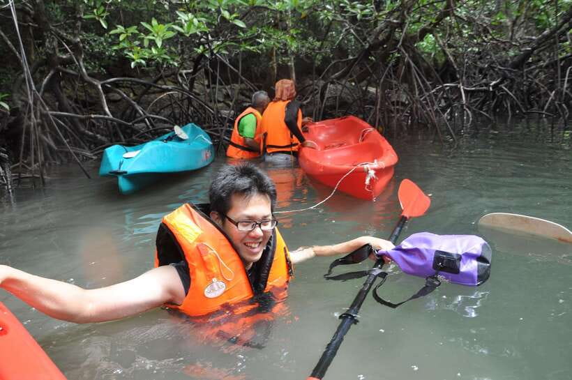 Langkawi: Kilim River Mangrove Safari Kayaking Tour - Is $71 a fair price?