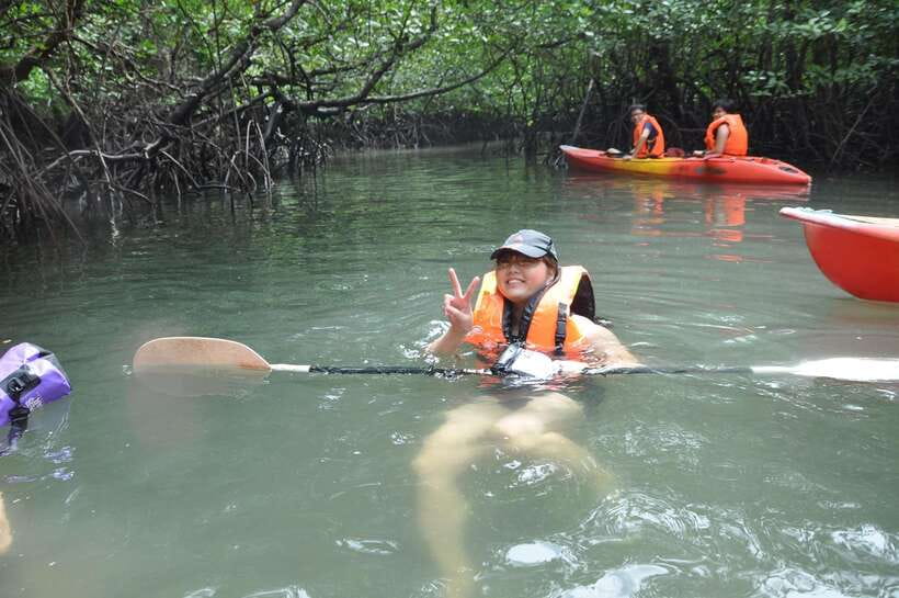 Langkawi: Kilim River Mangrove Safari Kayaking Tour - Bat Cave and the limestone side of Kilim