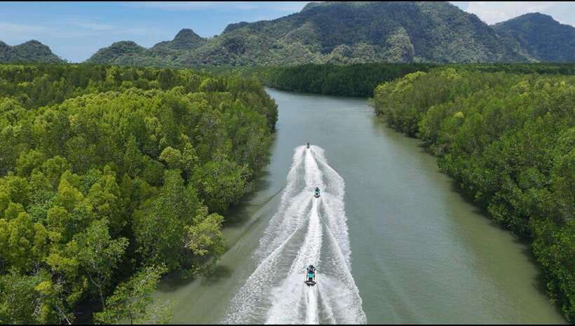 Langkawi: Mangrove Jet Ski Tour with Drone Video - Eagle feeding at Pulau Singa