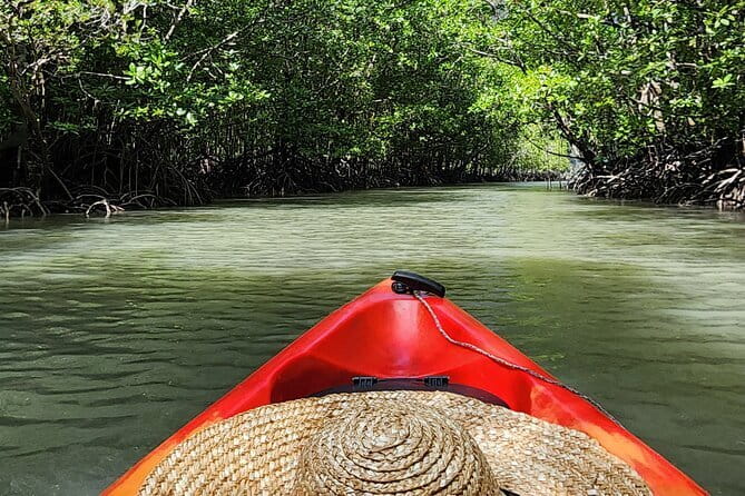 Langkawi Mangrove Kayak Tour by Sham - Why the Kilim mangroves are worth seeing by kayak