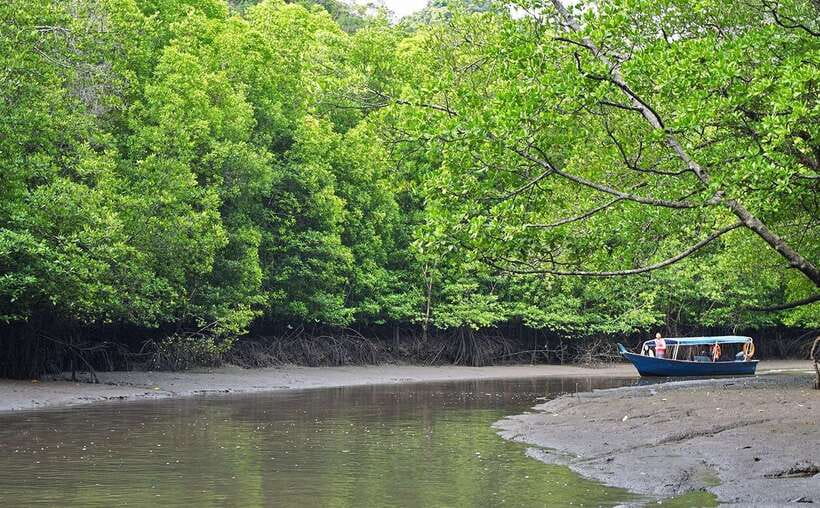 Langkawi: Mangrove Kilim UNESCO Geopark & Cave Tour - Limestone cliffs change the view