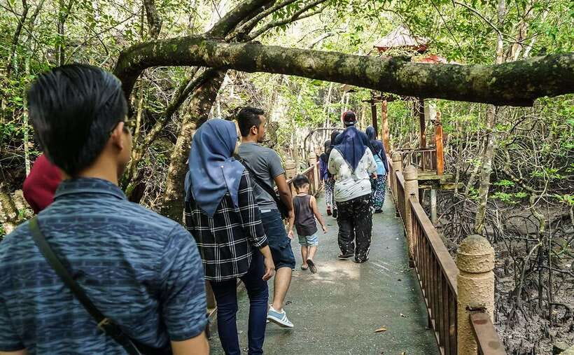 Langkawi: Mangrove Kilim UNESCO Geopark & Cave Tour - Guides can make a big difference