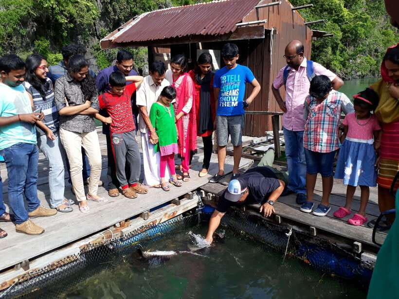 Langkawi: Mangrove Kilim UNESCO Geopark & Cave Tour - Is $50 good value?