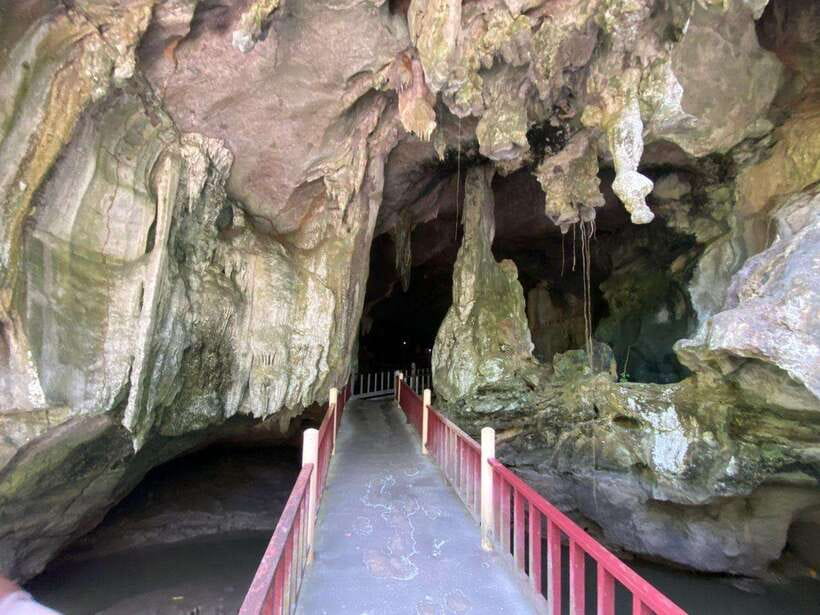 Langkawi Mangrove Monkey Package - Exploring Bat Cave and Crocodile Cave