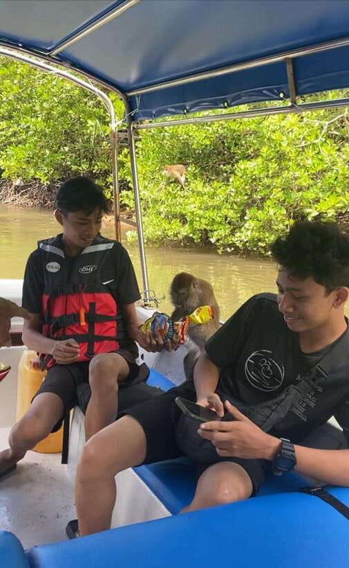 Langkawi Mangrove Monkey Package - The floating fish farm is more than a quick stop