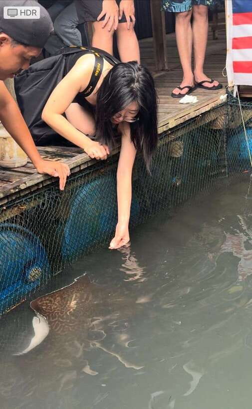 Langkawi Mangrove Monkey Package - Who will enjoy this Langkawi boat trip?