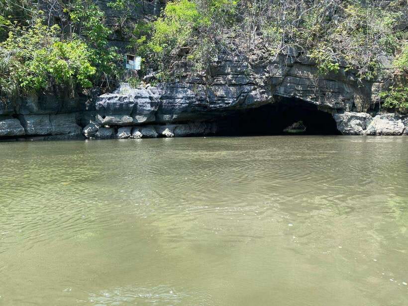 Langkawi Mangrove Monkey Package - Why the wildlife makes this trip worthwhile