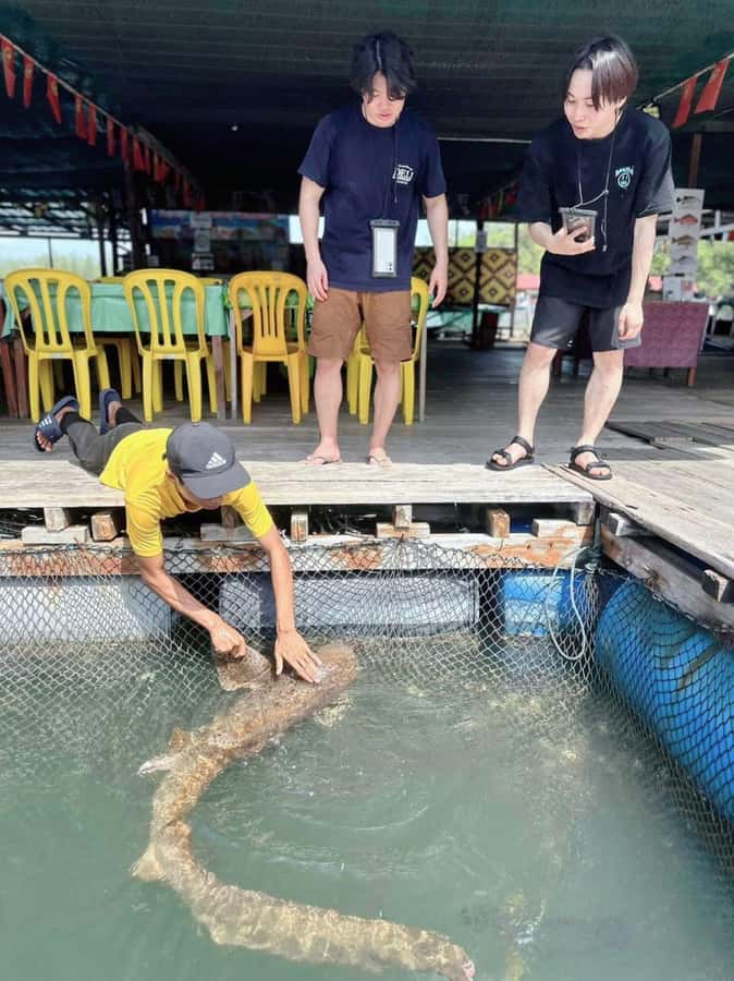 Langkawi Mangrove : Sharing Boat 3Hour estimated (lunch) - Is the shared boat good value at $14?