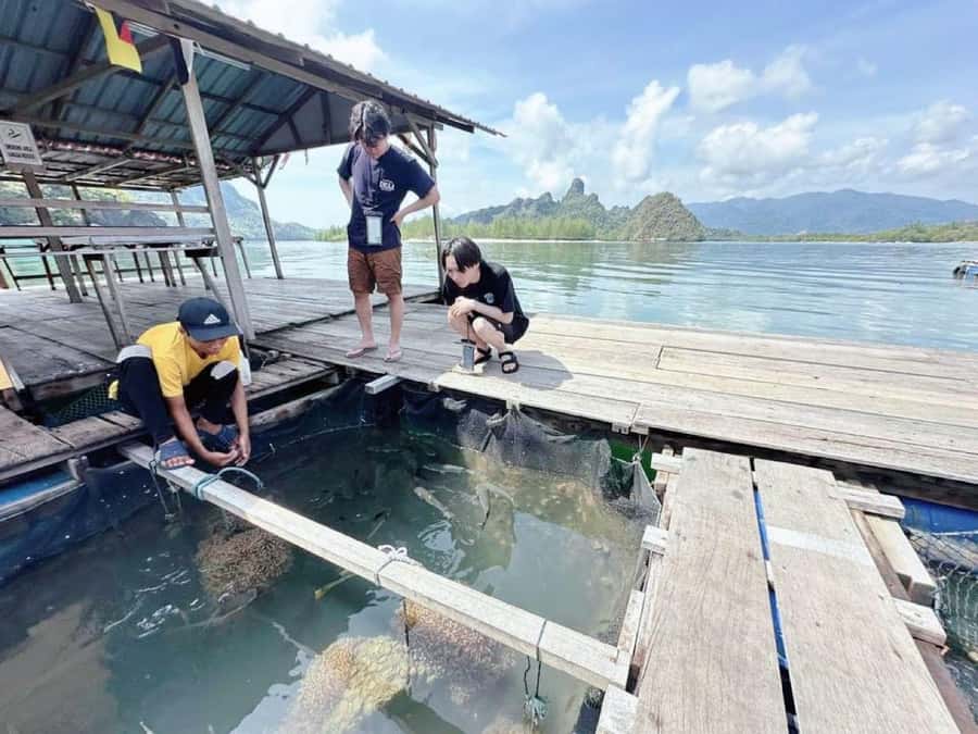 Langkawi Mangrove : Sharing Boat 3Hour estimated (lunch) - Practical advice for a smooth outing