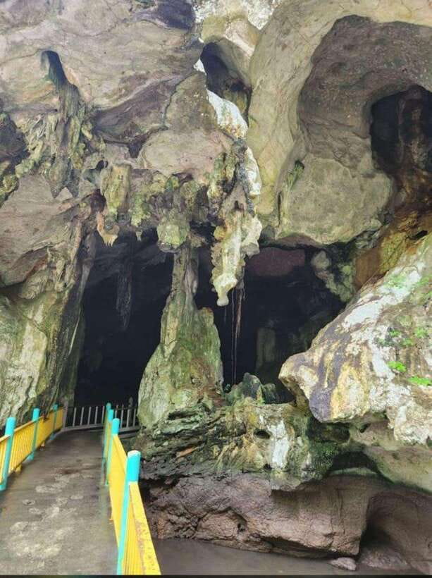 Langkawi:Mangrove Tour Private VIP Boat - Crocodile Cave, Kilim Wall, and Shoes Island