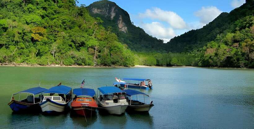 Langkawi: Mangrove Tour with Kilim Geoforest Park & Bat Cave - Key points at a glance