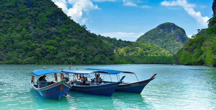 Langkawi: Mangrove Tour with Kilim Geoforest Park & Bat Cave - Mangrove channels and coastal protection