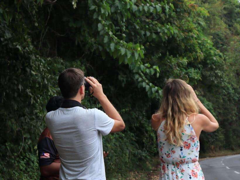 Langkawi: Nighttime Rainforest Tour with Nature Guide - Sunset views from Langkawi’s highest peak