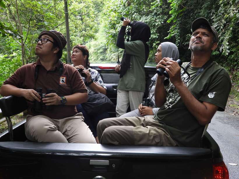 Langkawi: Nighttime Rainforest Tour with Nature Guide - Lubuk Semilang after dark