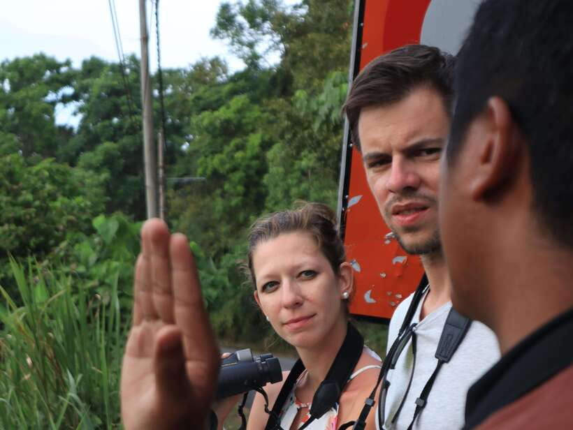 Langkawi: Nighttime Rainforest Tour with Nature Guide - Why the group size matters