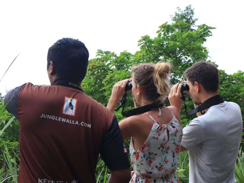Langkawi: Nighttime Rainforest Tour with Nature Guide - What makes the guiding worthwhile