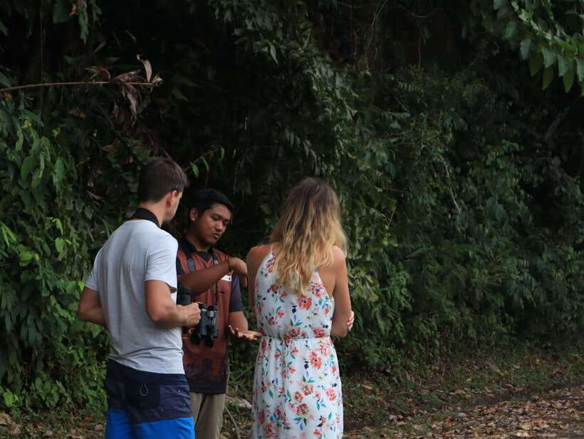Langkawi: Nighttime Rainforest Tour with Nature Guide - Who should book this Langkawi outing