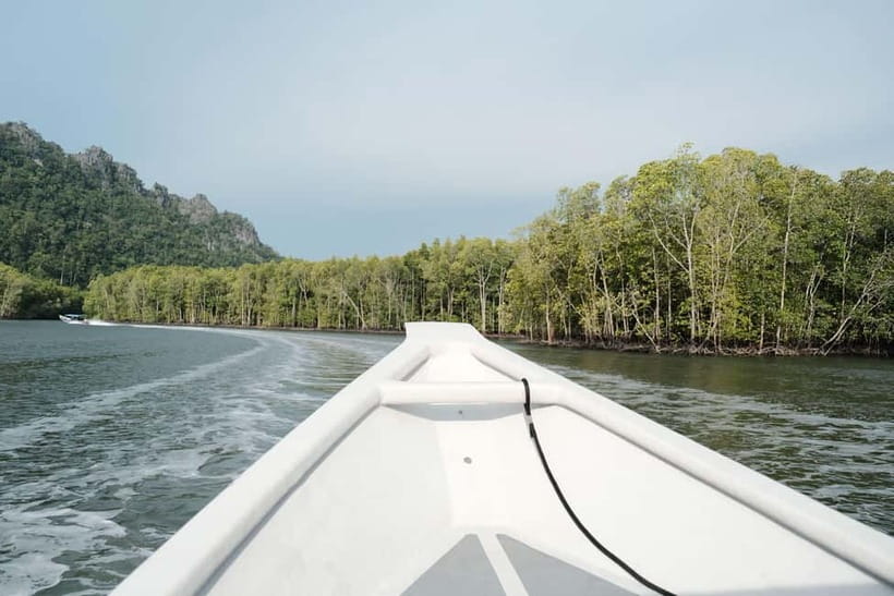 Langkawi: Private 2-Hour Mangrove Tour with Hotel Transfer - Why the Kilim mangroves are worth your morning