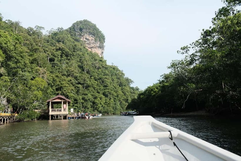 Langkawi: Private 2-Hour Mangrove Tour with Hotel Transfer - Eagles, monkeys, and the best chance for wildlife