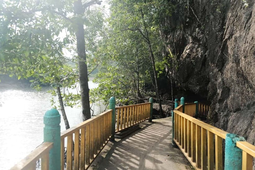 Langkawi: Private 2-Hour Mangrove Tour with Hotel Transfer - What $119 means for your group