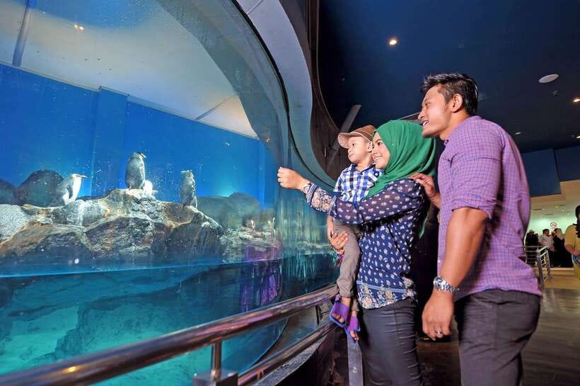 Langkawi: Private Tour with Sky Bridge and Cable Car - The guide question deserves attention
