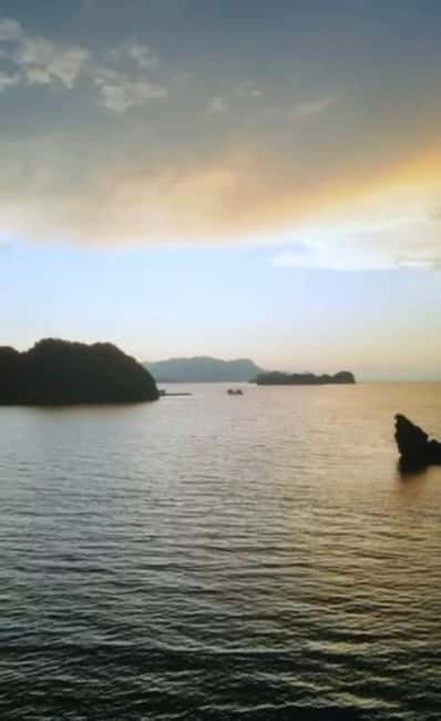 Langkawi: River Cruise and Sunset Cruise Lunch Available - Mangrove channels and the first wildlife sightings