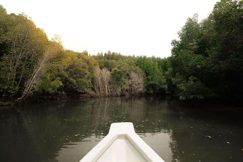 Langkawi Royal Mangrove Tour with Snorkeling Package - Views of Gorilla Mountain and the Floating Restaurant
