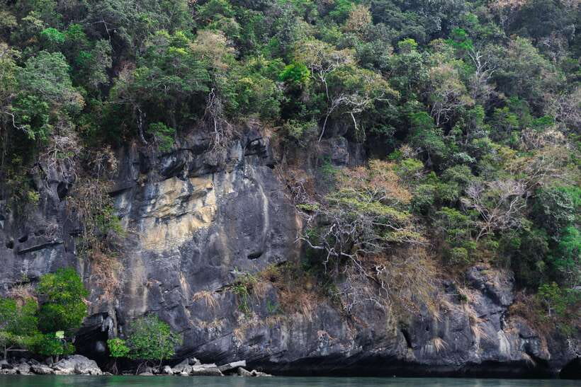 Langkawi Royal Mangrove Tour with Snorkeling Package - What the guide adds to the experience