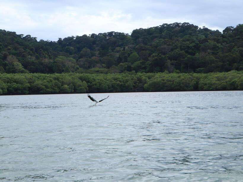 Langkawi: Southern Island Geopark Tour - What to bring for a smoother outing