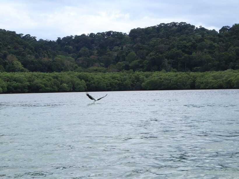 Langkawi: Southern Island Geopark Tour - Who will enjoy this tour most