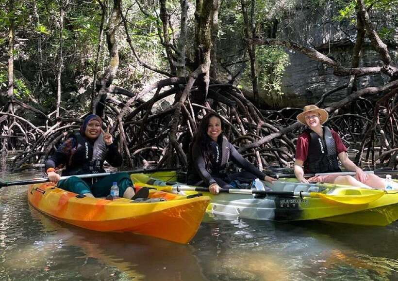 Langkawi: Sunset Kayaking Tour - What the $50 price buys you