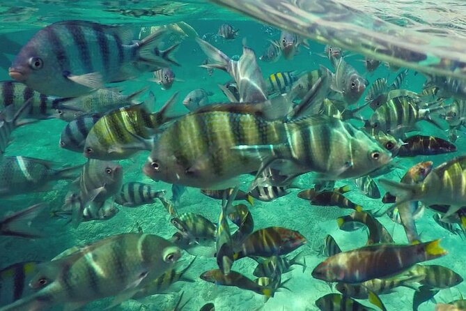 Langkawi Tour A - Land Tour & Pulau Dangli Snorkeling - Tanjung Rhu gives you a quieter stretch of coast