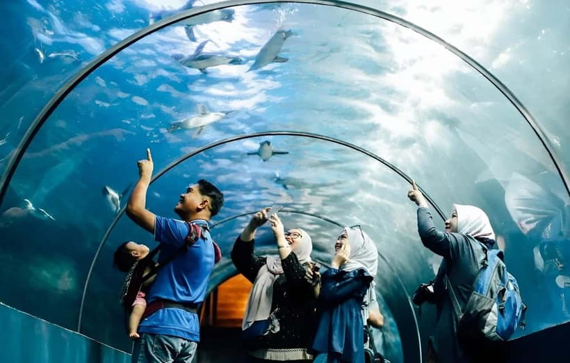 Langkawi: Underwater World Langkawi Entry Ticket - The Rainforest Zone and its freshwater residents