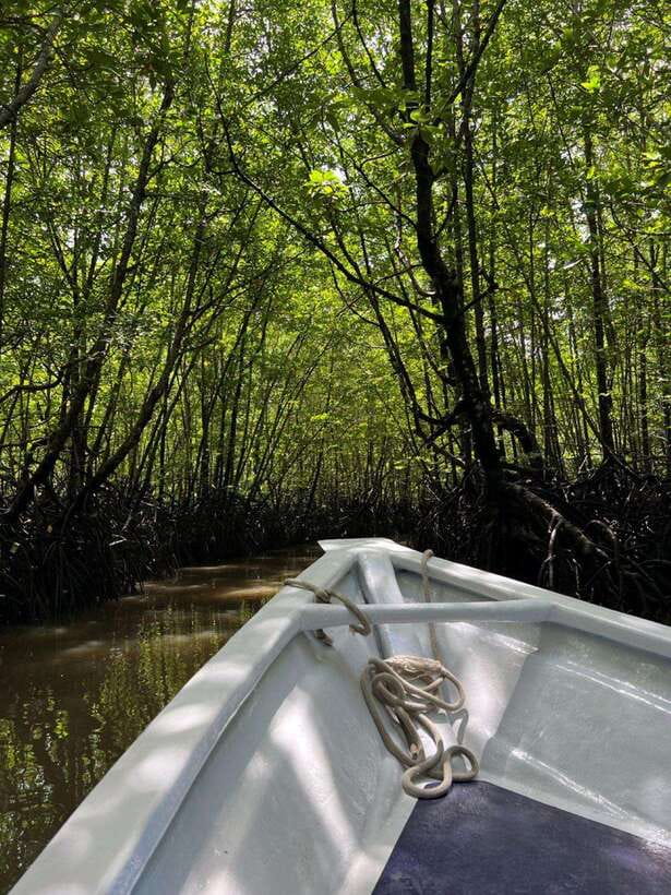 Langkawi: UNESCO Global Geopark Mangrove Cruise - Meeting at Tanjung Rhu Jetty