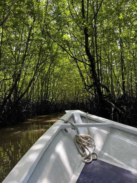 Langkawi: UNESCO Global Geopark Mangrove Cruise - What the Ethical Policy Means for Your Experience