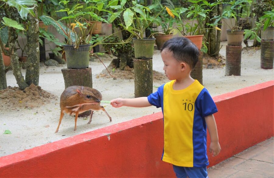 Langkawi: Wildlife Park Admission Ticket - Feeding makes the visit more hands-on