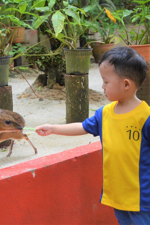 Langkawi: Wildlife Park Admission Ticket - Koi and water-loving animals slow the pace
