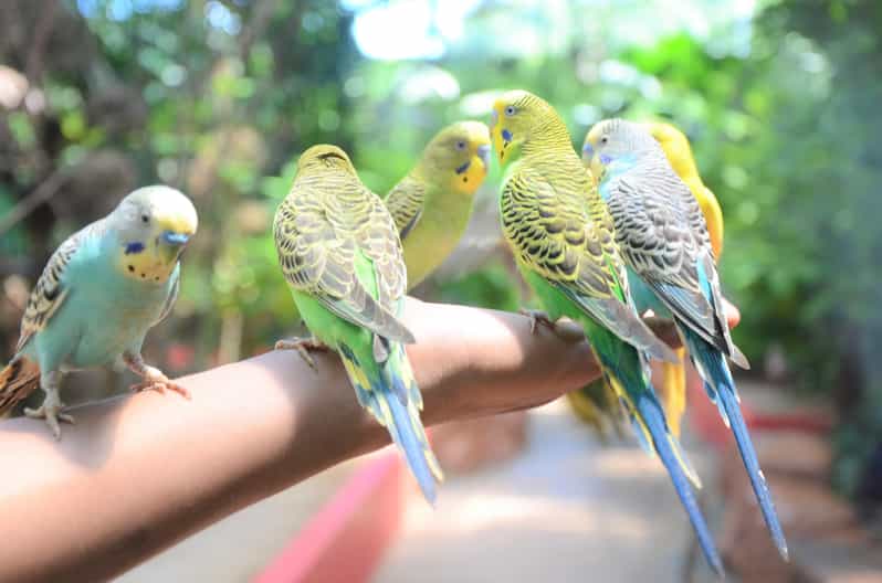 Langkawi: Wildlife Park Admission Ticket - How long should you spend here?
