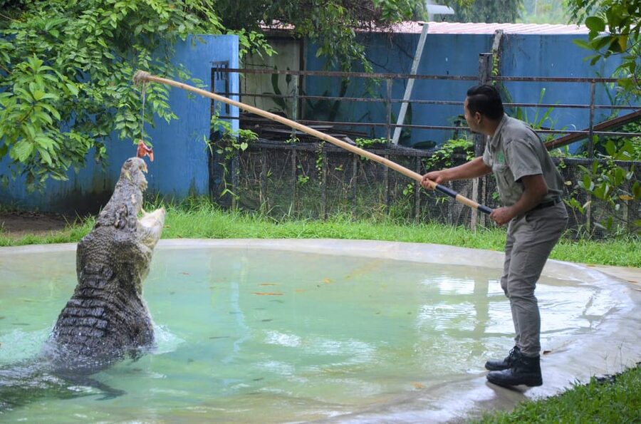 Langkawi: Wildlife Park Admission Ticket - Start with the tropical gardens and smaller animals