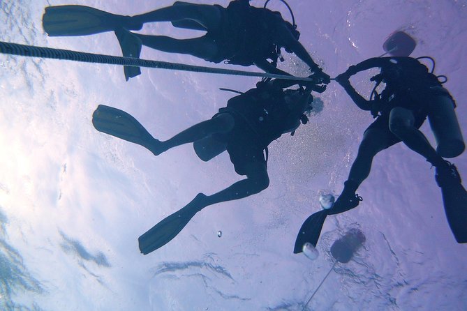 Learn to Dive | RAID Open Water 20 Diver Course | Kota Kinabalu - Three days learning scuba around Kota Kinabalu