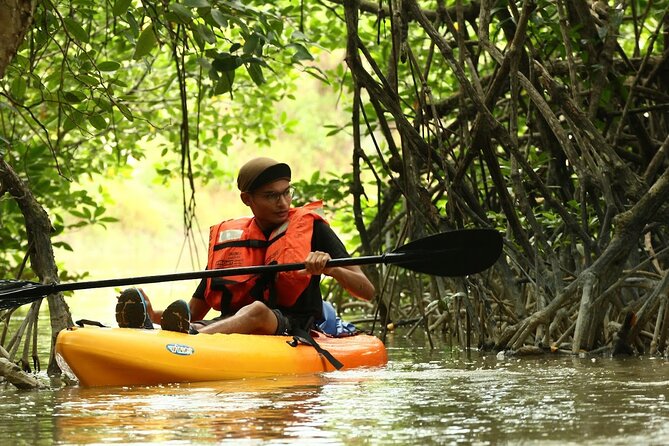 Lebam River Kayaking Adventure - Key points at a glance
