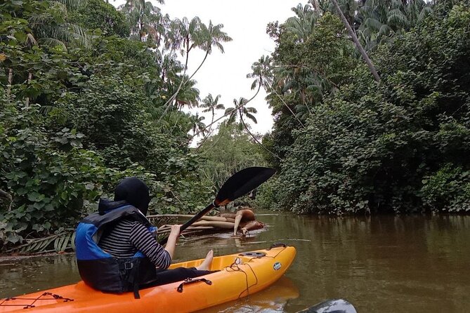 Lebam River Kayaking Adventure - Why the Lebam River makes a good kayaking setting