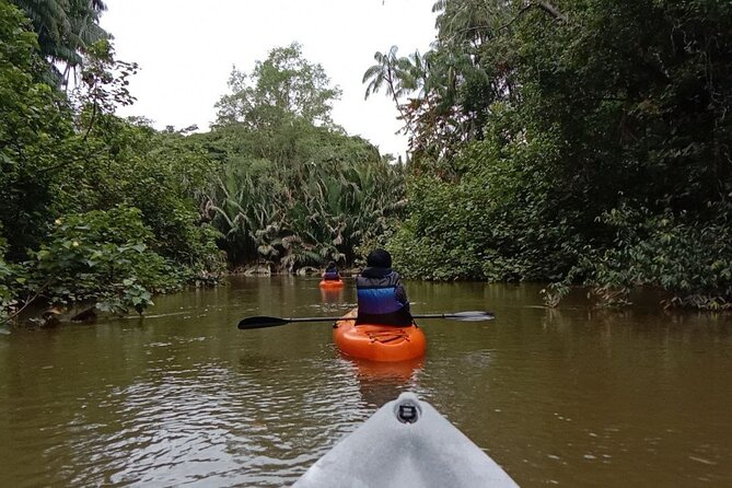 Lebam River Kayaking Adventure - What the $78.20 price covers