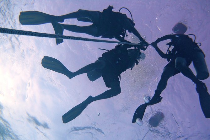 Leisure Diving | Fun Dives | 3 Dives in TARP, Kota Kinabalu - A free island lunch between sessions