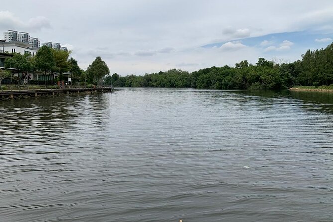 Magical Brooklyn Cruise at Puteri Harbour - Requesting the mangrove route at high tide