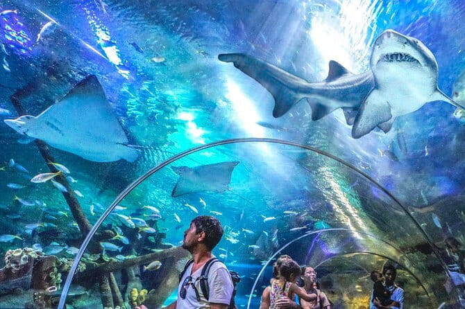 Malaysia: Aquaria KLCC Admission E-Ticket - Key points to know before you go