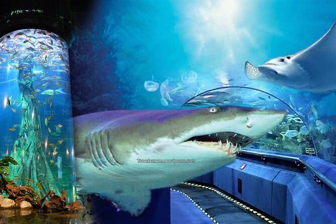 Malaysia: Aquaria KLCC Admission E-Ticket - How Aquaria fits into a Kuala Lumpur day