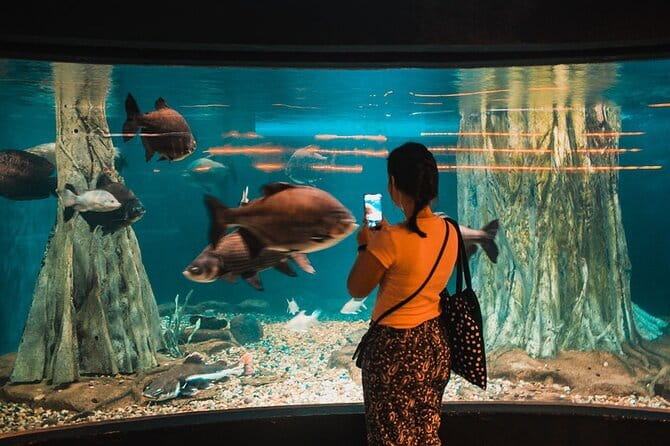 Malaysia: Aquaria KLCC Admission E-Ticket - The 90-meter underwater tunnel