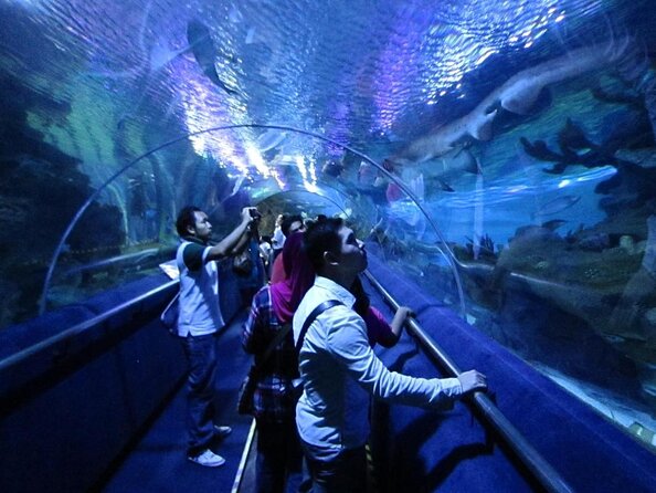 Malaysia: Aquaria KLCC Entry Ticket - Key points at a glance
